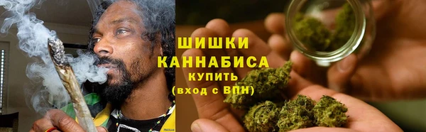 a pvp Новозыбков