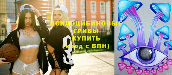 СК Лиски