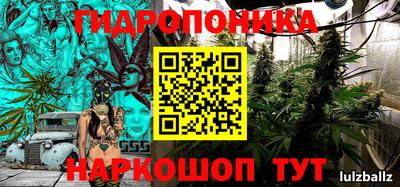 скорость Будённовск