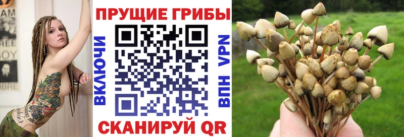 Галлюциногенные грибы мицелий  продажа наркотиков  Похвистнево 